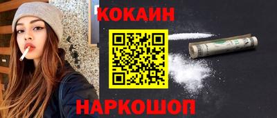 дживик Можга
